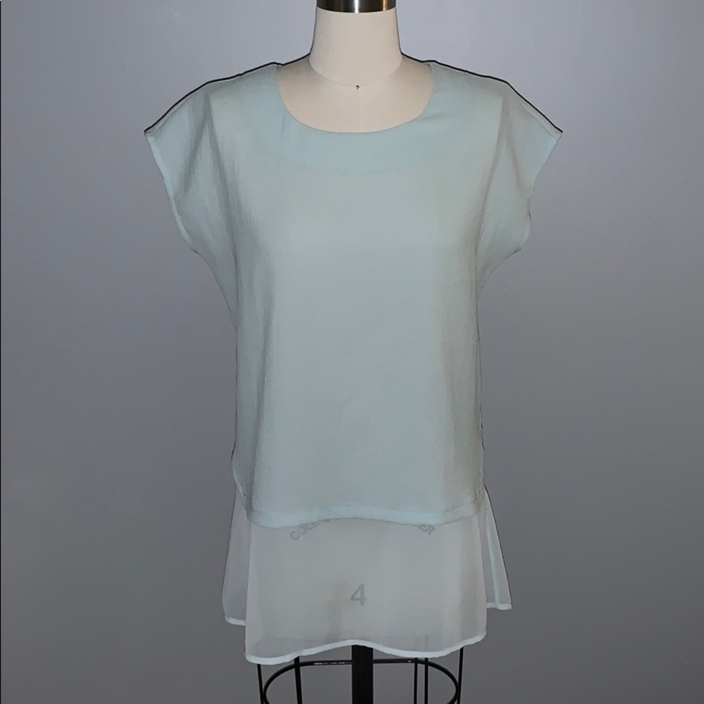 Pleione Cap Sleeve Sea Foam Sheer Green Top!